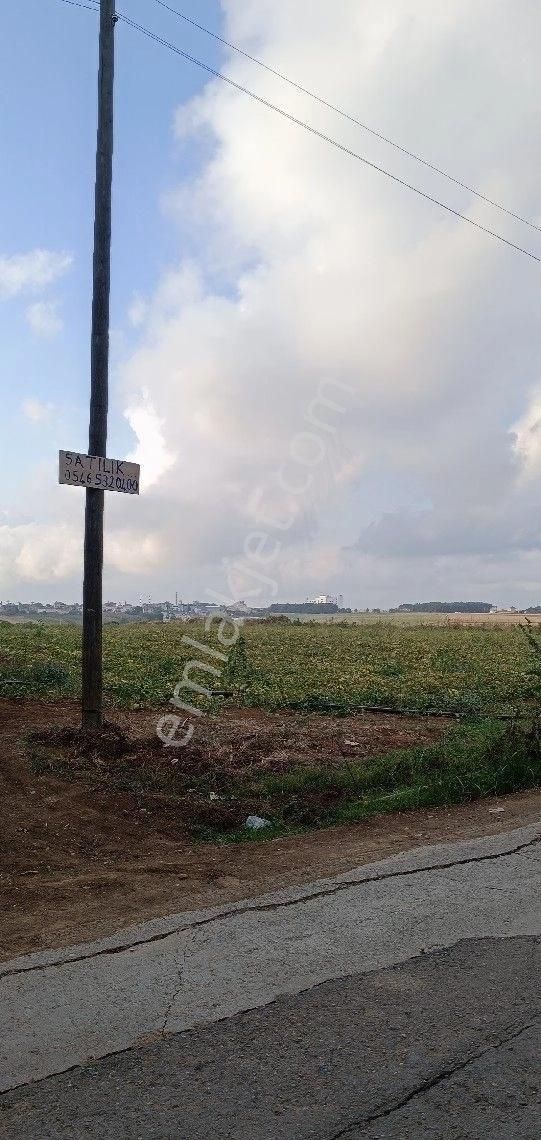 Satılık Arsa Kazandere - Görsel 5