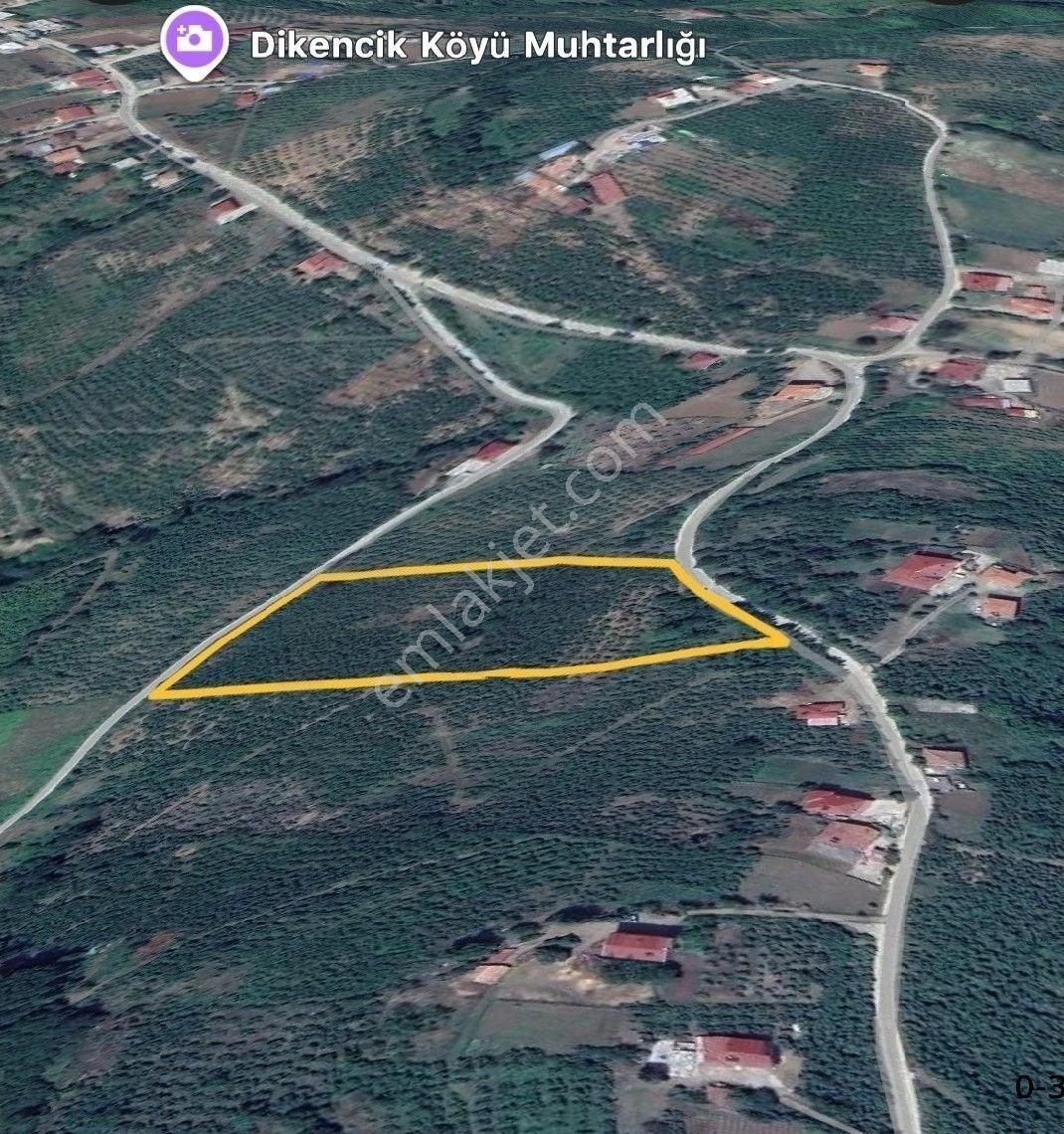 Satılık Fındık Tarlası 16 Dönüm - Görsel 9