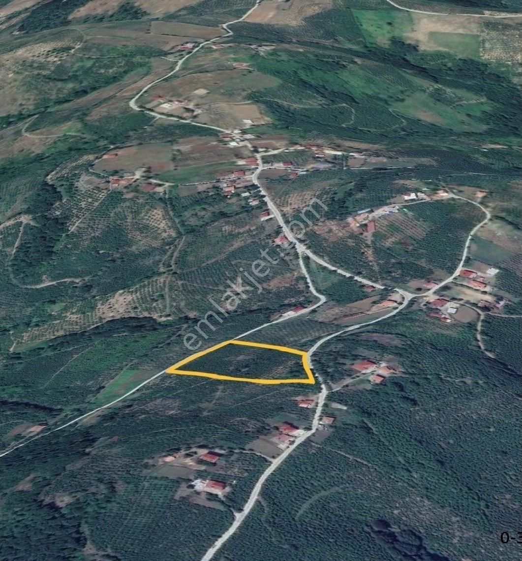 Satılık Fındık Tarlası 16 Dönüm - Görsel 2