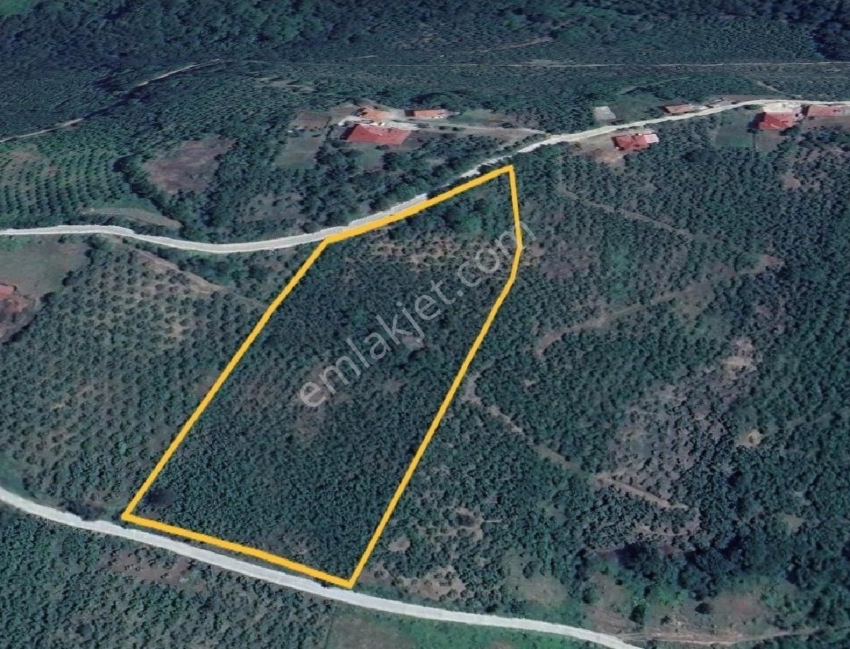 Satılık Fındık Tarlası 16 Dönüm - Görsel 3