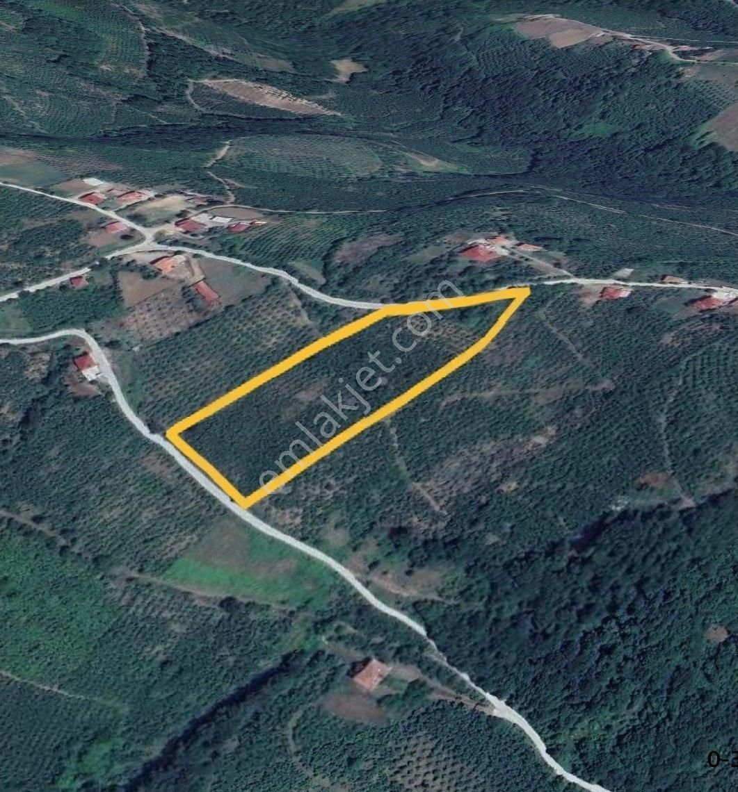 Satılık Fındık Tarlası 16 Dönüm - Görsel 8