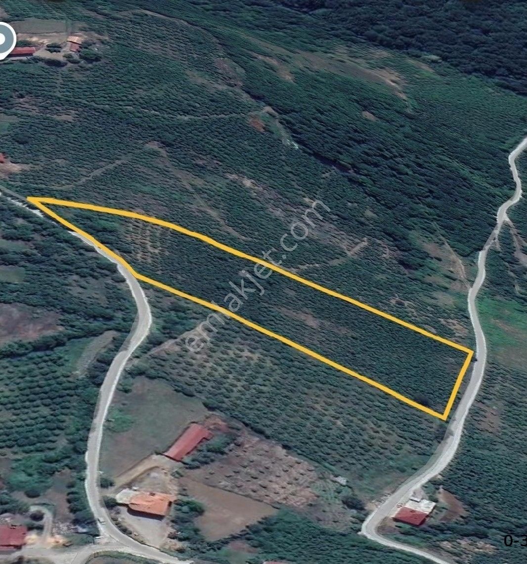 Satılık Fındık Tarlası 16 Dönüm - Görsel 7