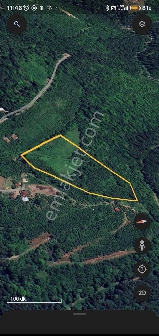 Satılık Tarla Fındık Tarlası