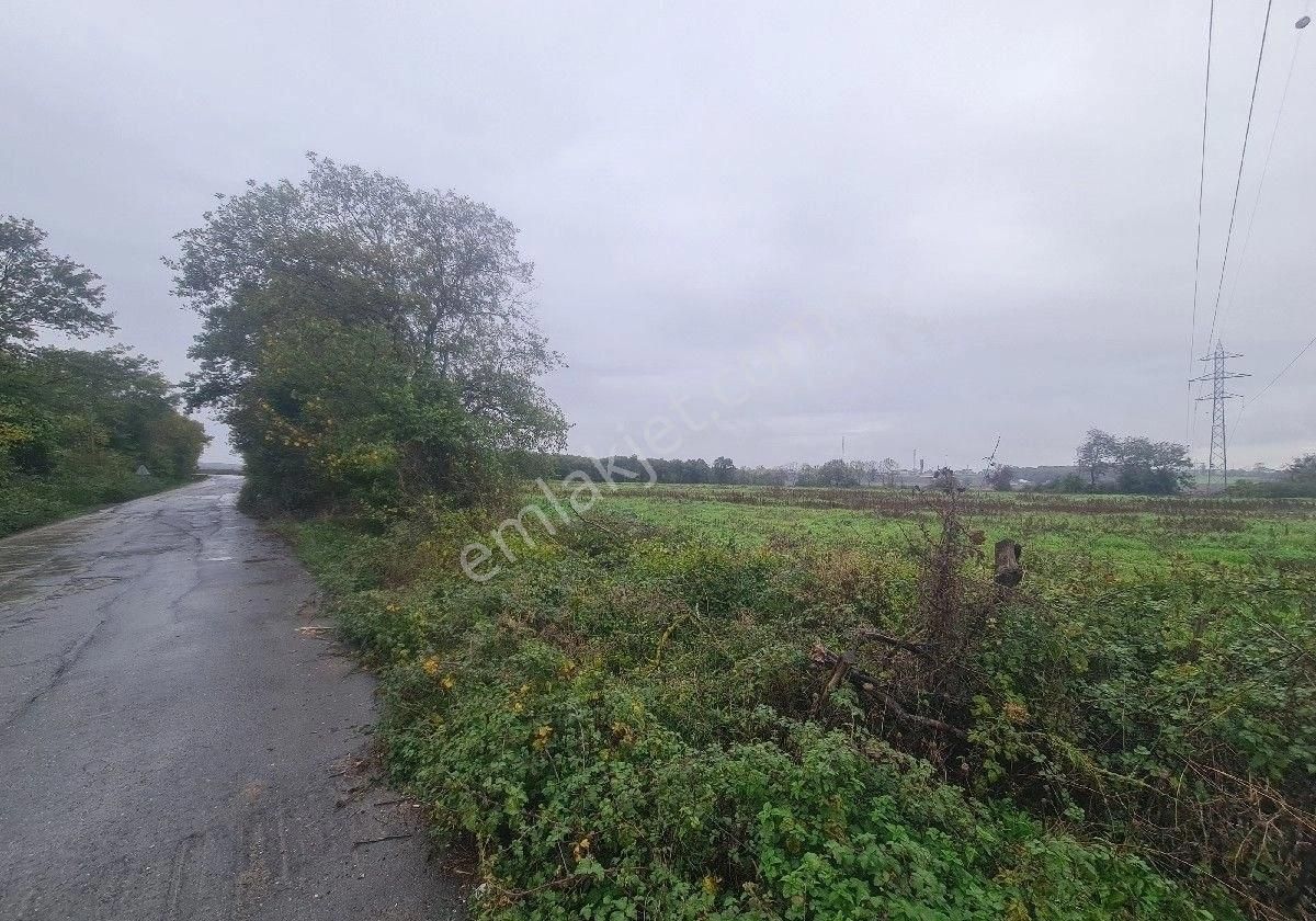 Satılık Tarla Bafra Yerleşke 20 Dönüm - Görsel 4