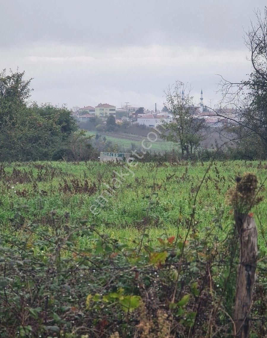 Satılık Tarla Bafra Yerleşke 20 Dönüm - Görsel 9