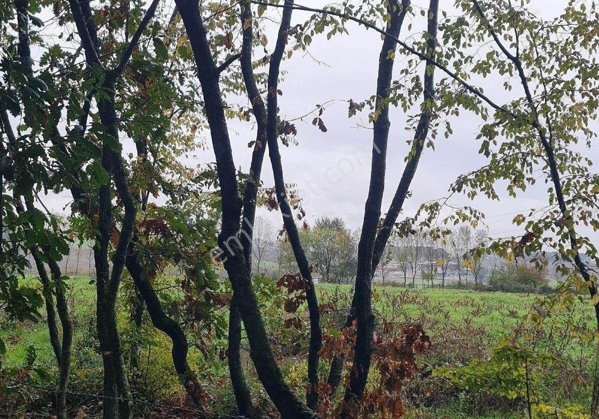 Satılık Tarla Bafra Yerleşke 20 Dönüm - Görsel 11