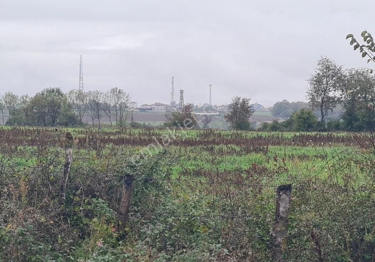 Satılık Tarla Bafra Yerleşke 20 Dönüm - Görsel 5