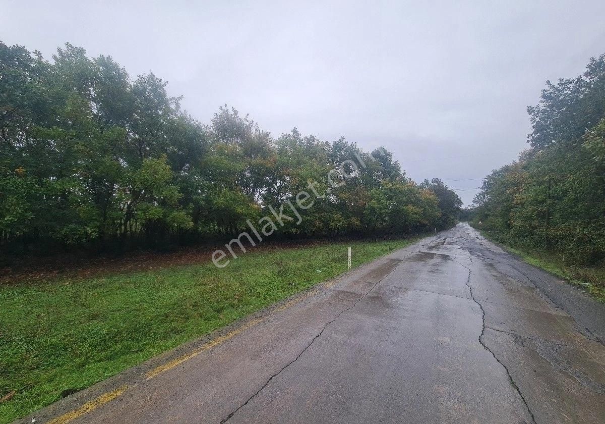 Satılık Tarla Bafra Yerleşke 20 Dönüm - Görsel 7