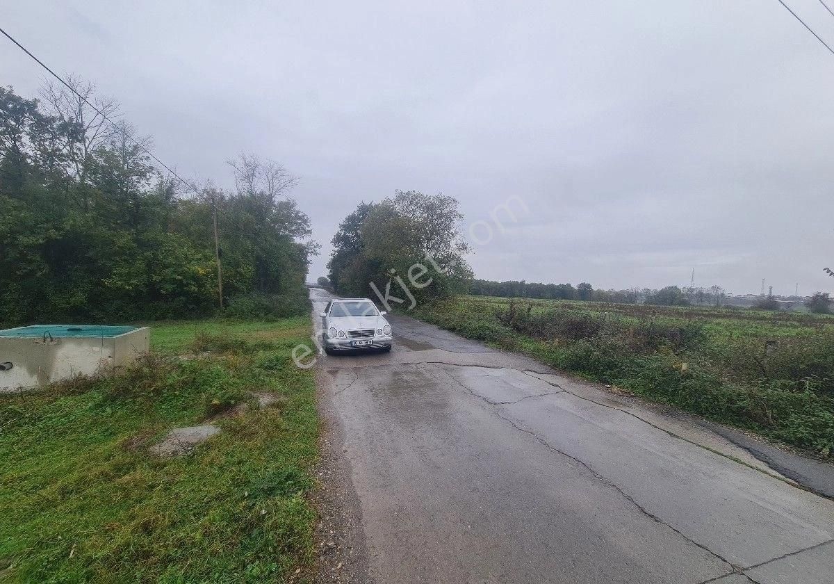 Satılık Tarla Bafra Yerleşke 20 Dönüm - Görsel 6