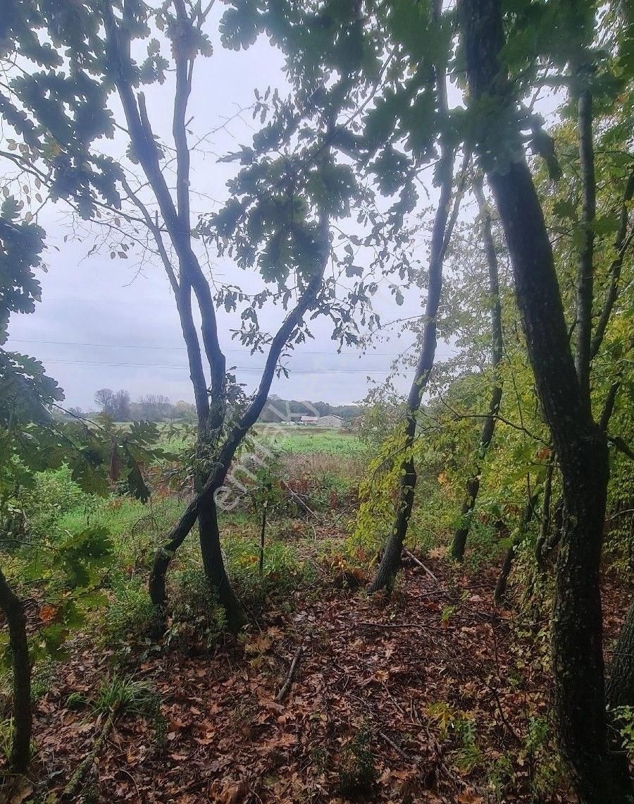 Satılık Tarla Bafra Yerleşke 20 Dönüm - Görsel 10