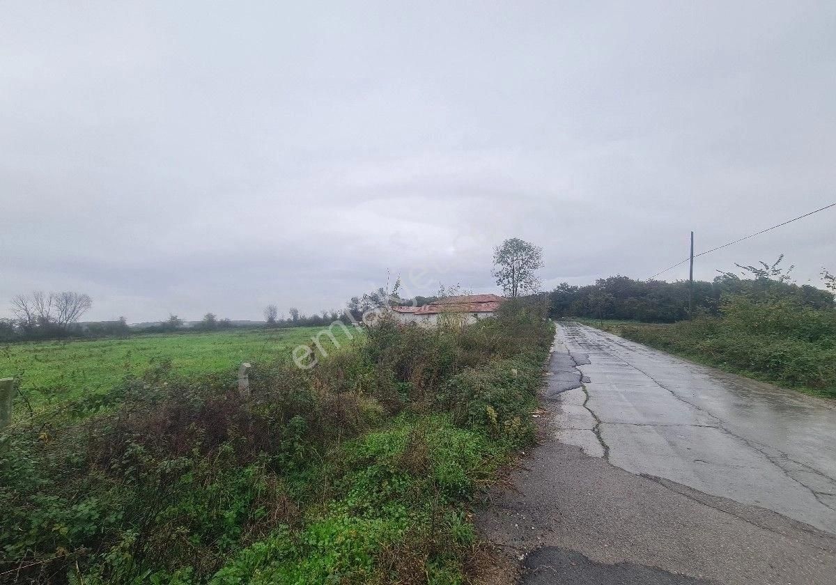 Satılık Tarla Bafra Yerleşke 20 Dönüm - Görsel 12