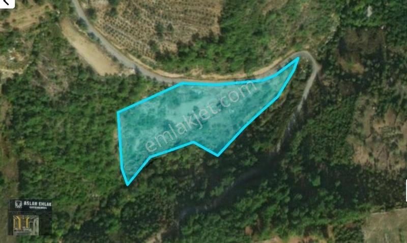 Köy Yerleşim Alanı İçinde Ve Dereye Sıfır Tarla