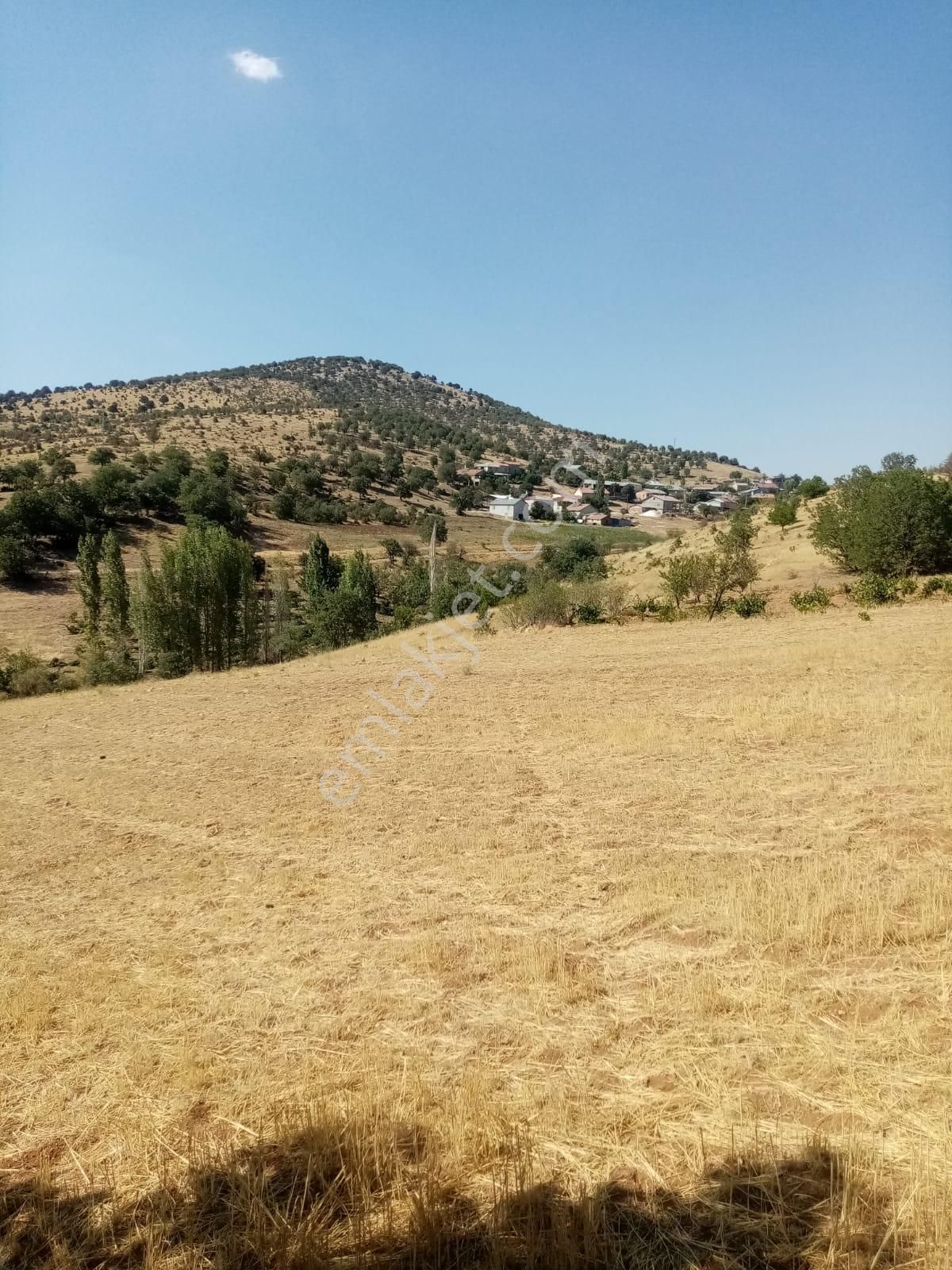 Konya Güneysınır Ağras Köyünde 5.040 M² Bağ Satılıktır - Görsel 8