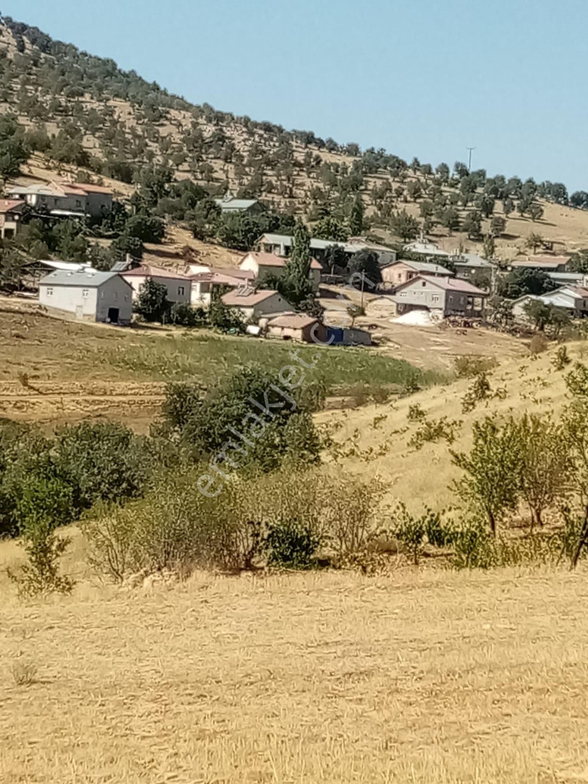 Konya Güneysınır Ağras Köyünde 5.040 M² Bağ Satılıktır