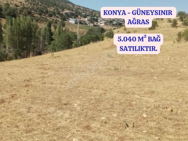 Konya Güneysınır Ağras Köyünde 5.040 M² Bağ Satılıktır - Görsel 2