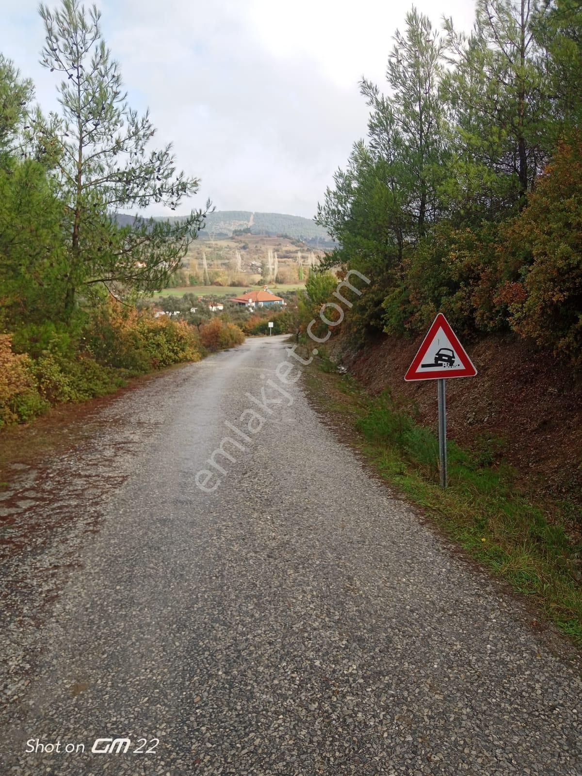 Muğla Yatağan Bencik'te Satılık Tarla-zeytinlik-çiftlik - Görsel 5