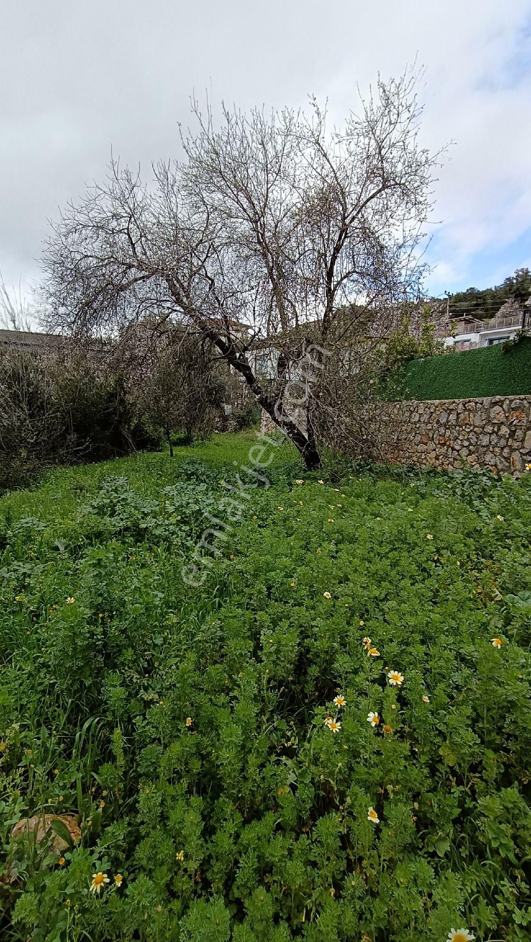 Joker: Marmaris Söğüt Villa Bölgesi Değerli Konumda Satılık - Görsel 13