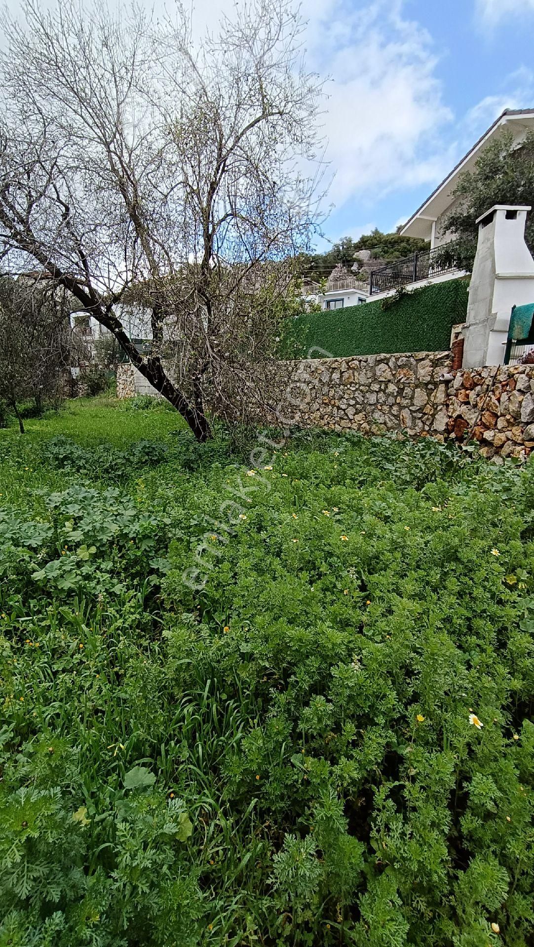 Joker: Marmaris Söğüt Villa Bölgesi Değerli Konumda Satılık - Görsel 14