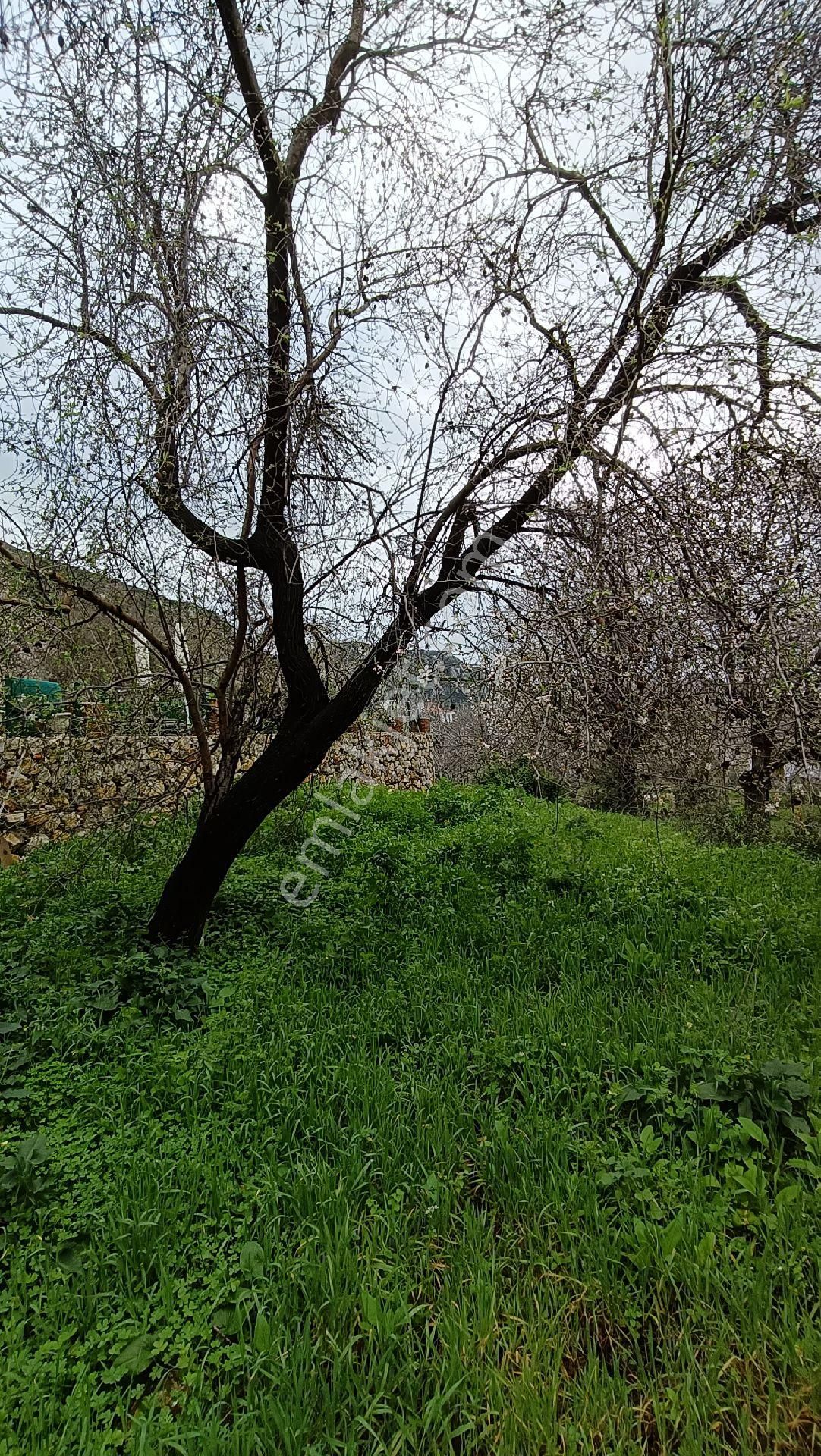 Joker: Marmaris Söğüt Villa Bölgesi Değerli Konumda Satılık - Görsel 16