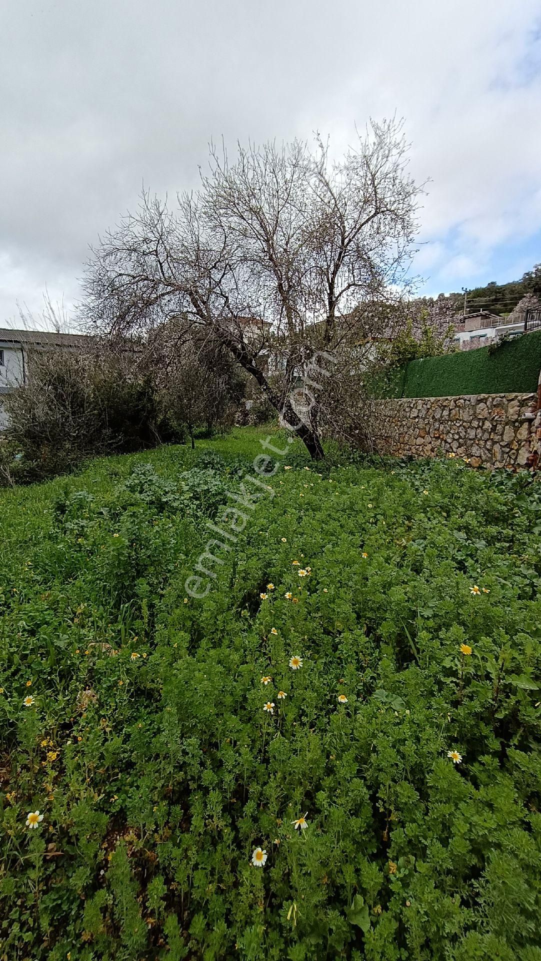 Joker: Marmaris Söğüt Villa Bölgesi Değerli Konumda Satılık - Görsel 4