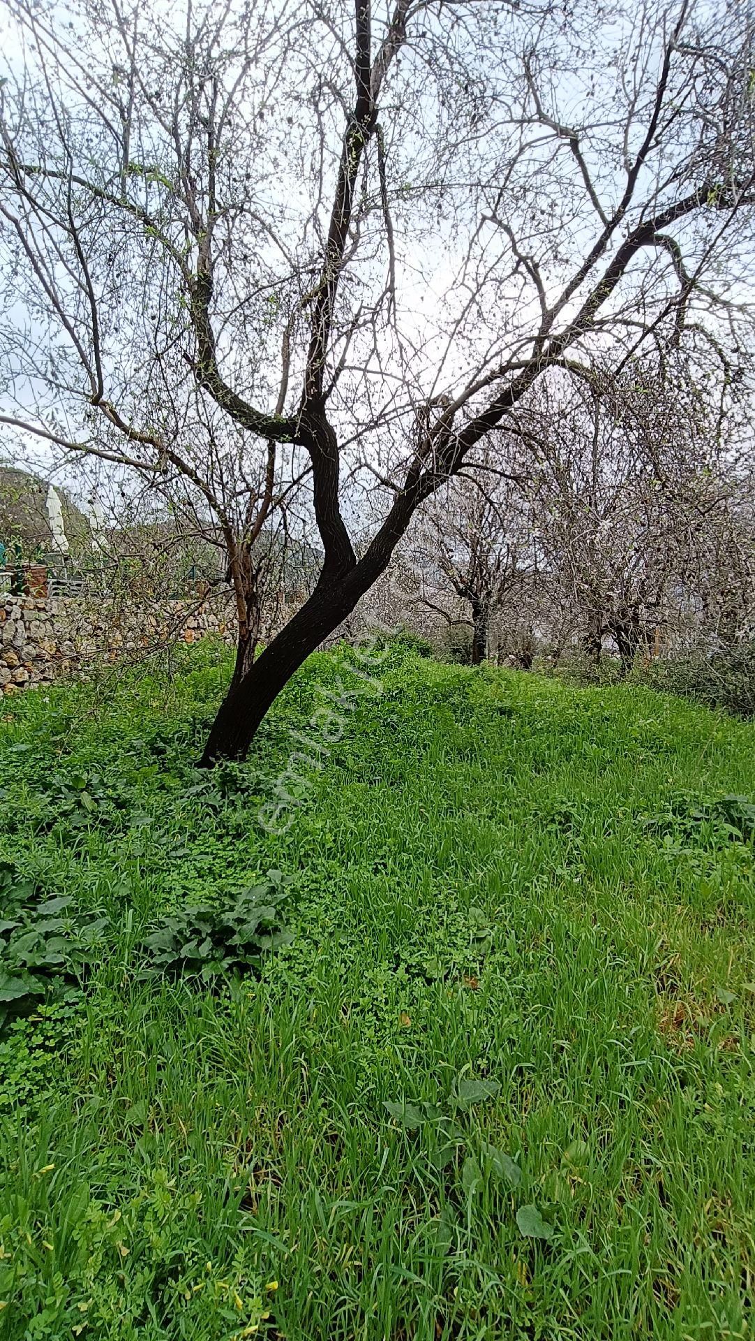 Joker: Marmaris Söğüt Villa Bölgesi Değerli Konumda Satılık - Görsel 2