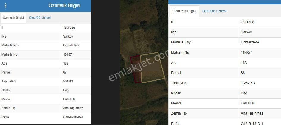 Doğayla İç İçe Satılık 2 Adet Bağ Yeri