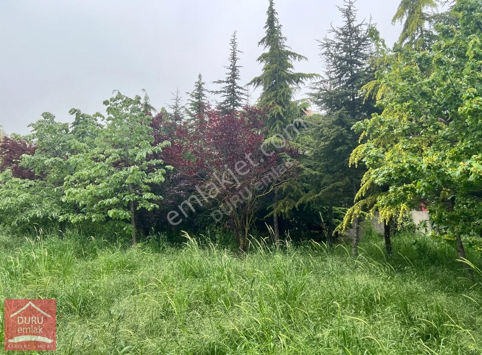 Soyak Olympiakent 14.büölge De Boş Ve Peyzaj Manzaralı 1+1 Daire - Görsel 7