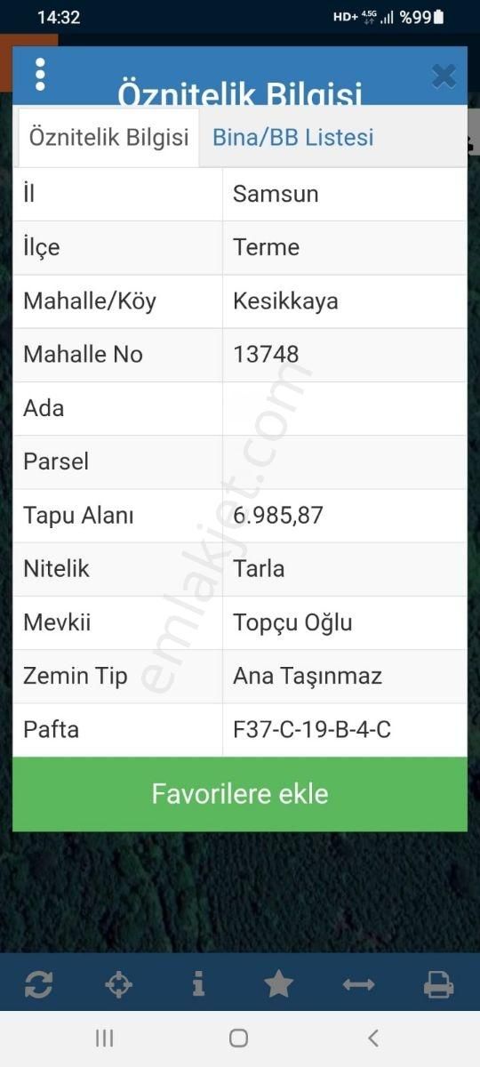 Terme De Satılık Fındık Bahçesi - Görsel 2