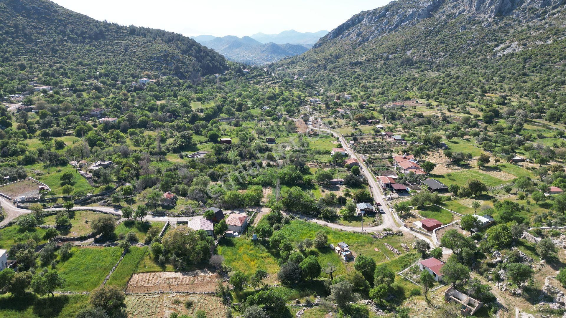 Joker: Söğüt Resmi Yol Cepheli Yatırıma Uygun Satılık Tarla