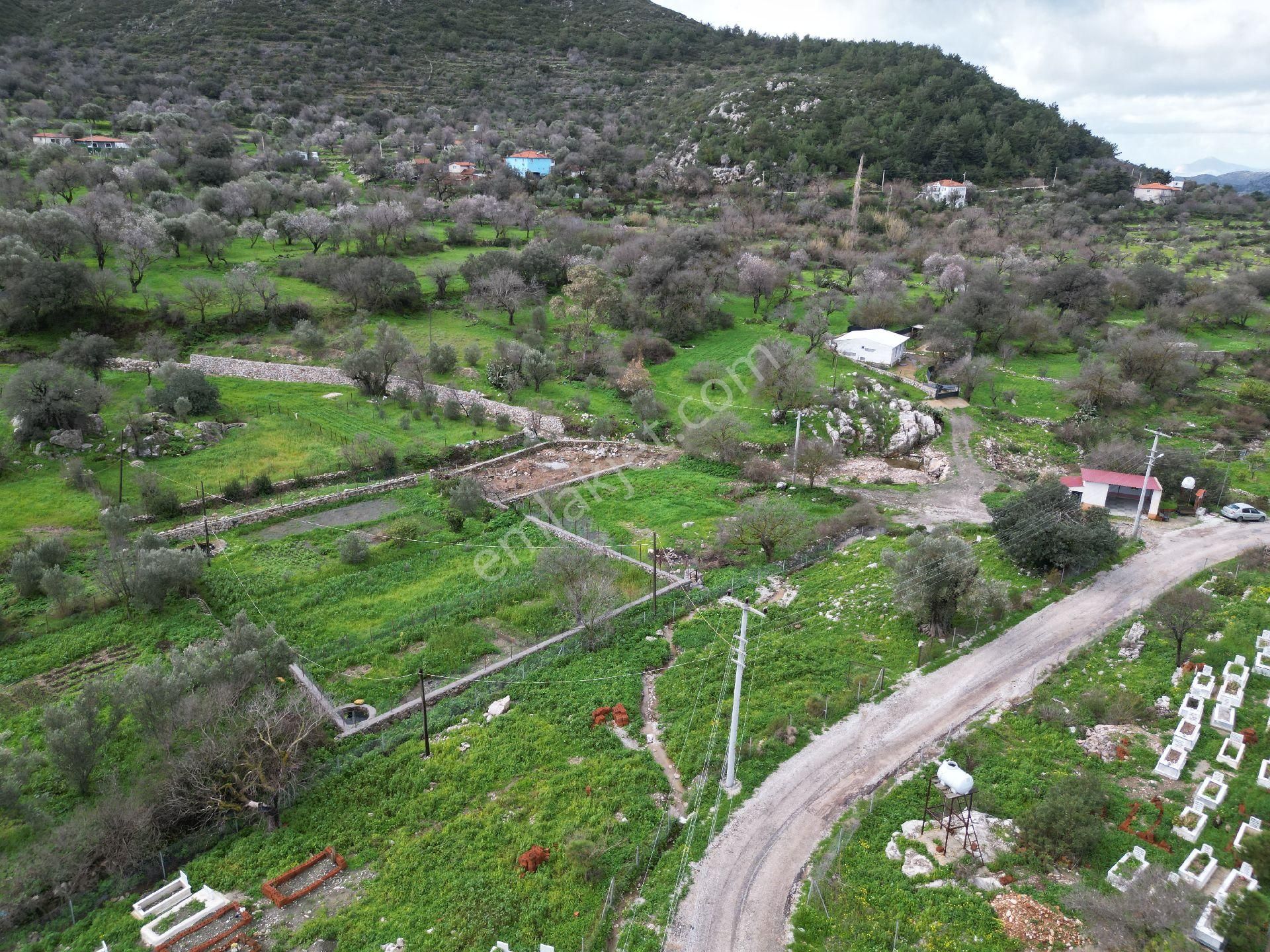 Joker: Söğüt Resmi Yol Cepheli Yatırıma Uygun Satılık Tarla - Görsel 3