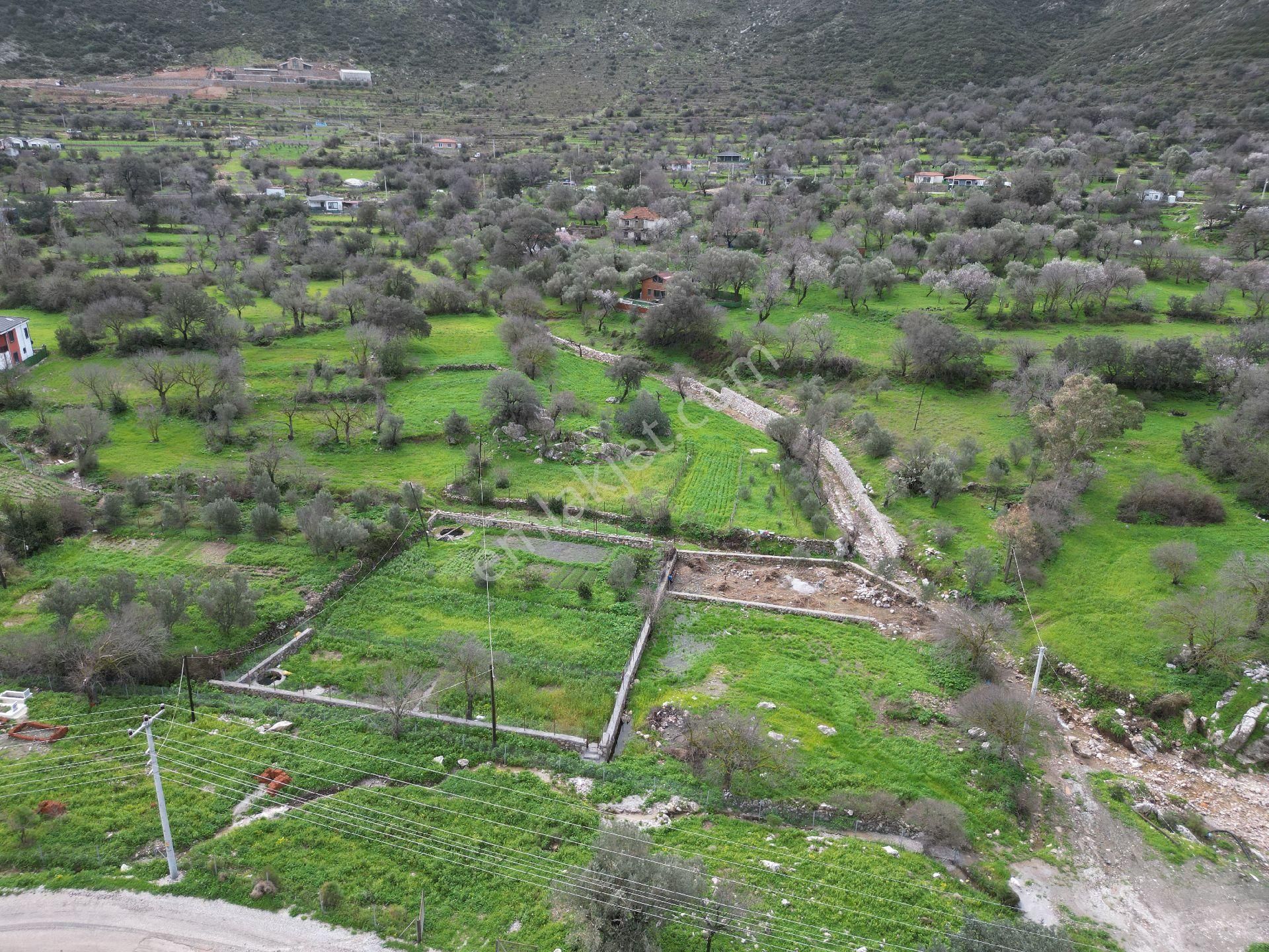 Joker: Söğüt Resmi Yol Cepheli Yatırıma Uygun Satılık Tarla - Görsel 4