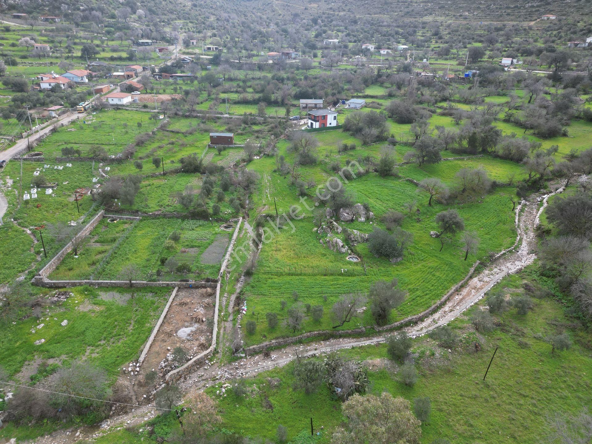 Joker: Söğüt Resmi Yol Cepheli Yatırıma Uygun Satılık Tarla - Görsel 5
