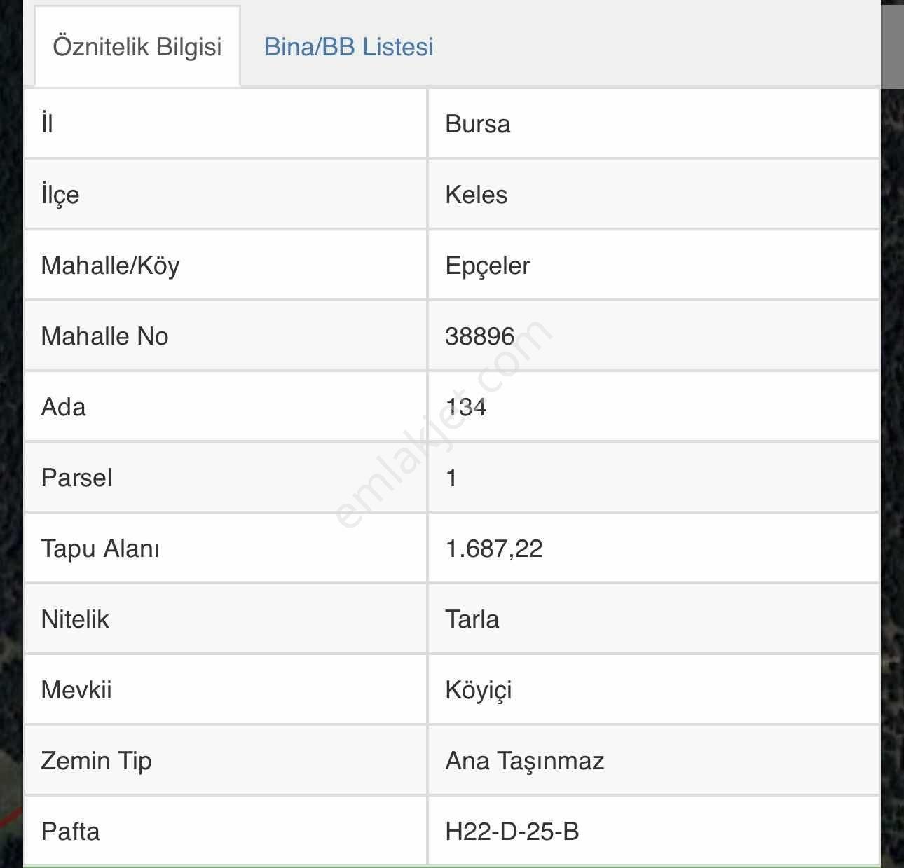 Bursa Keles Epçelerde Köy İçi Süper Yer - Görsel 3