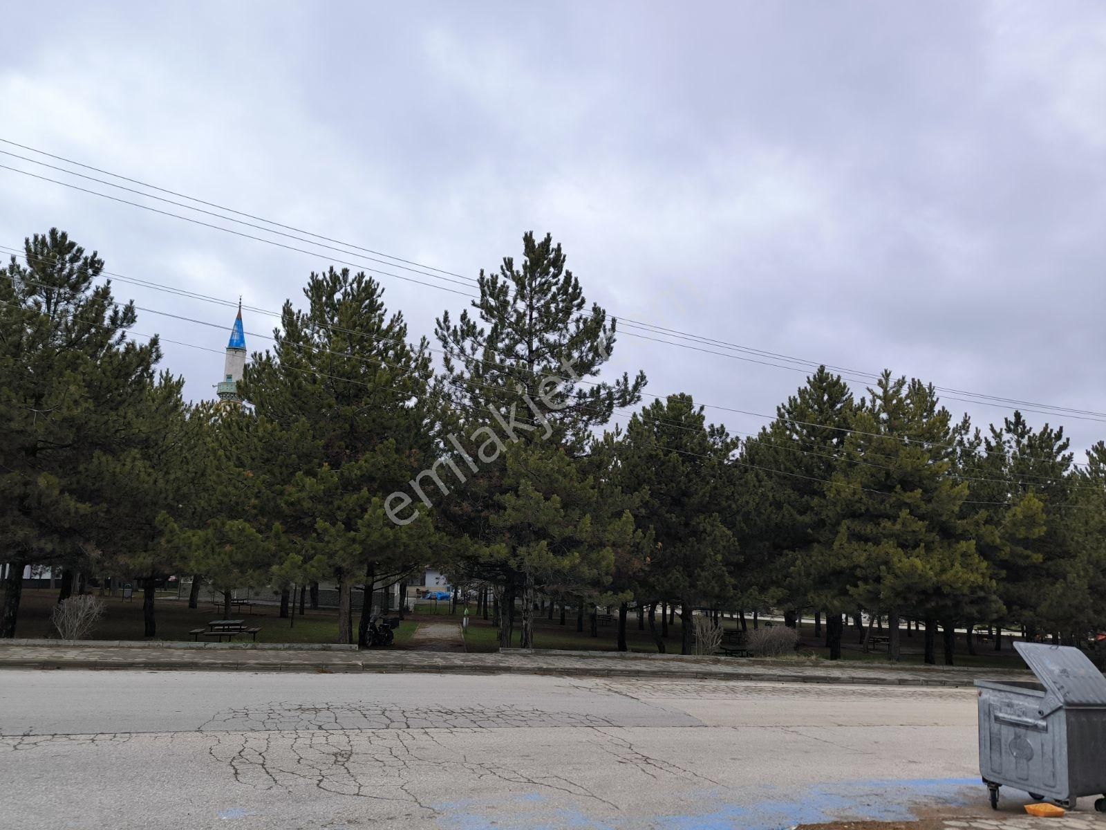 Park Manzaralı Sıfır Daire