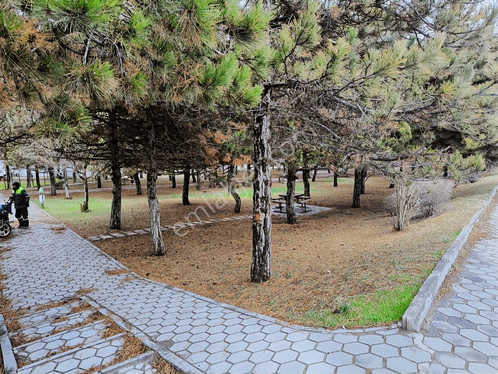 Park Manzaralı Sıfır Daire - Görsel 19