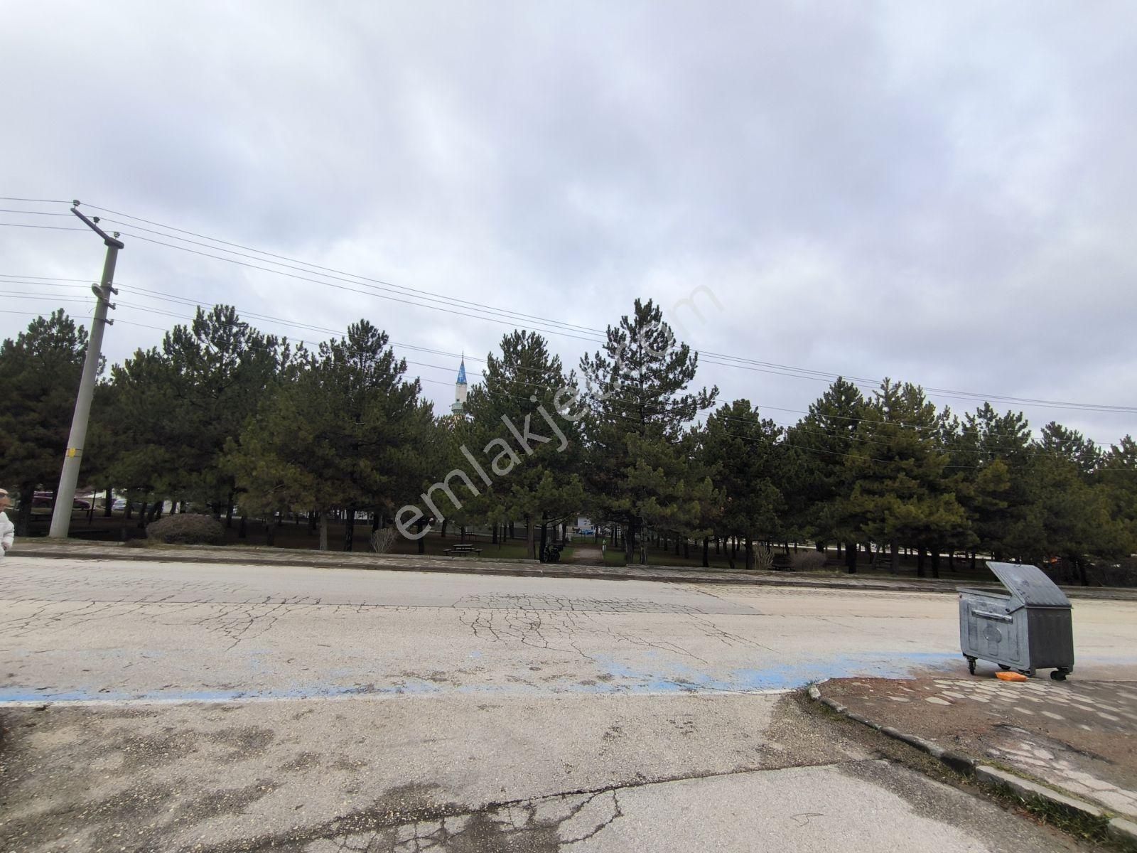 Park Manzaralı Sıfır Daire - Görsel 9