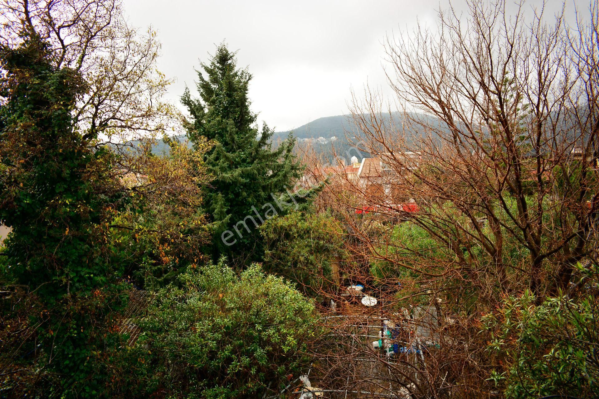 Urla Çeşmealtı'nda Denize Sıfır Binada Manzaralı Kiralık 1+1 Daire - Görsel 14