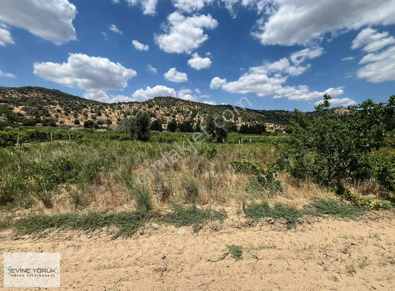 Menemen Bağcılar'da Manisa Asfaltına 100 Metre Uzaklıkta Tarla - Görsel 10