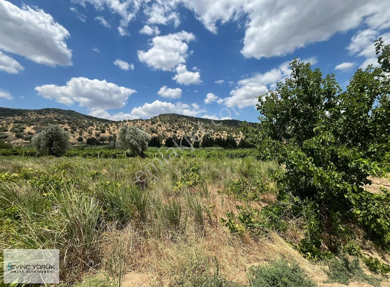 Menemen Bağcılar'da Manisa Asfaltına 100 Metre Uzaklıkta Tarla - Görsel 13