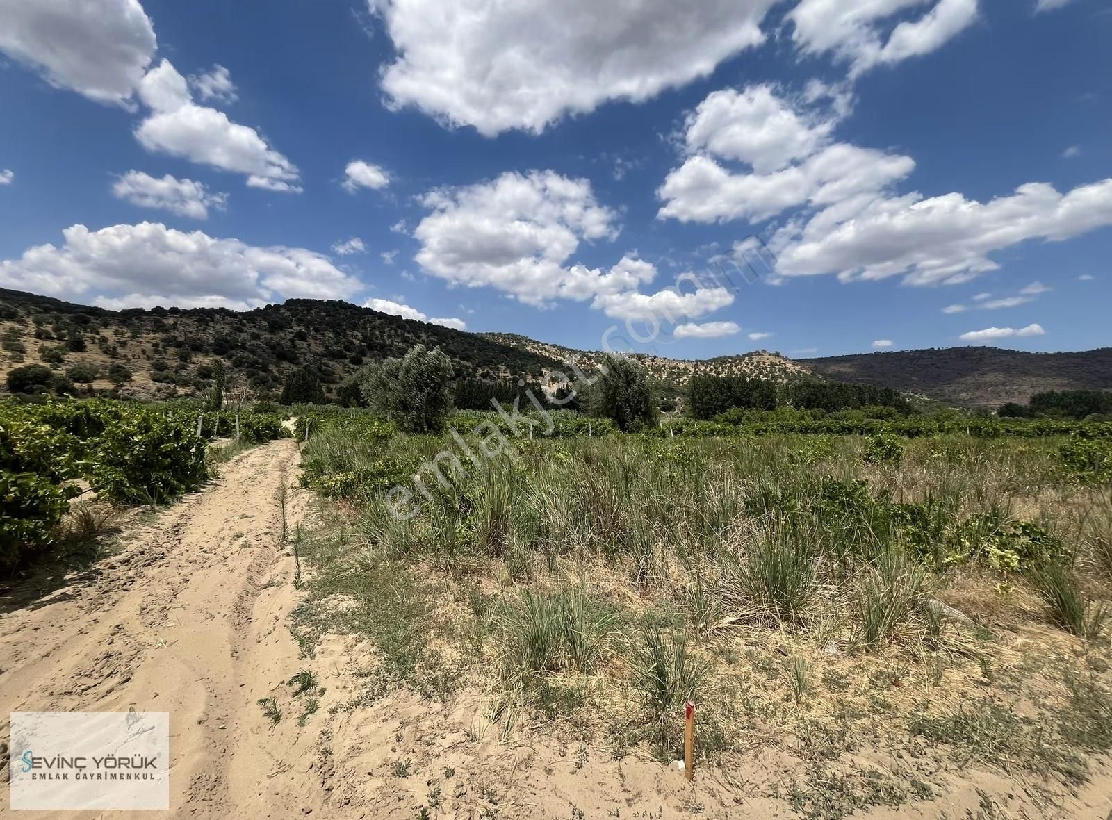 Menemen Bağcılar'da Manisa Asfaltına 100 Metre Uzaklıkta Tarla - Görsel 11