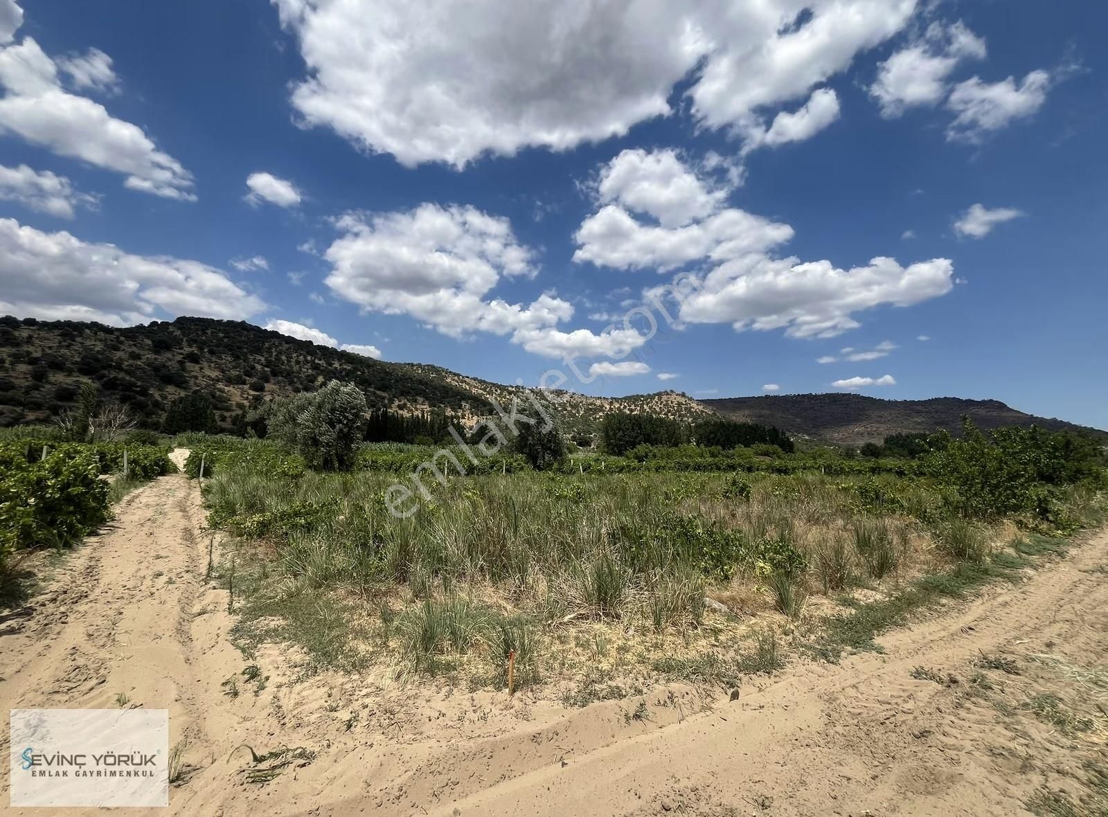 Menemen Bağcılar'da Manisa Asfaltına 100 Metre Uzaklıkta Tarla - Görsel 2