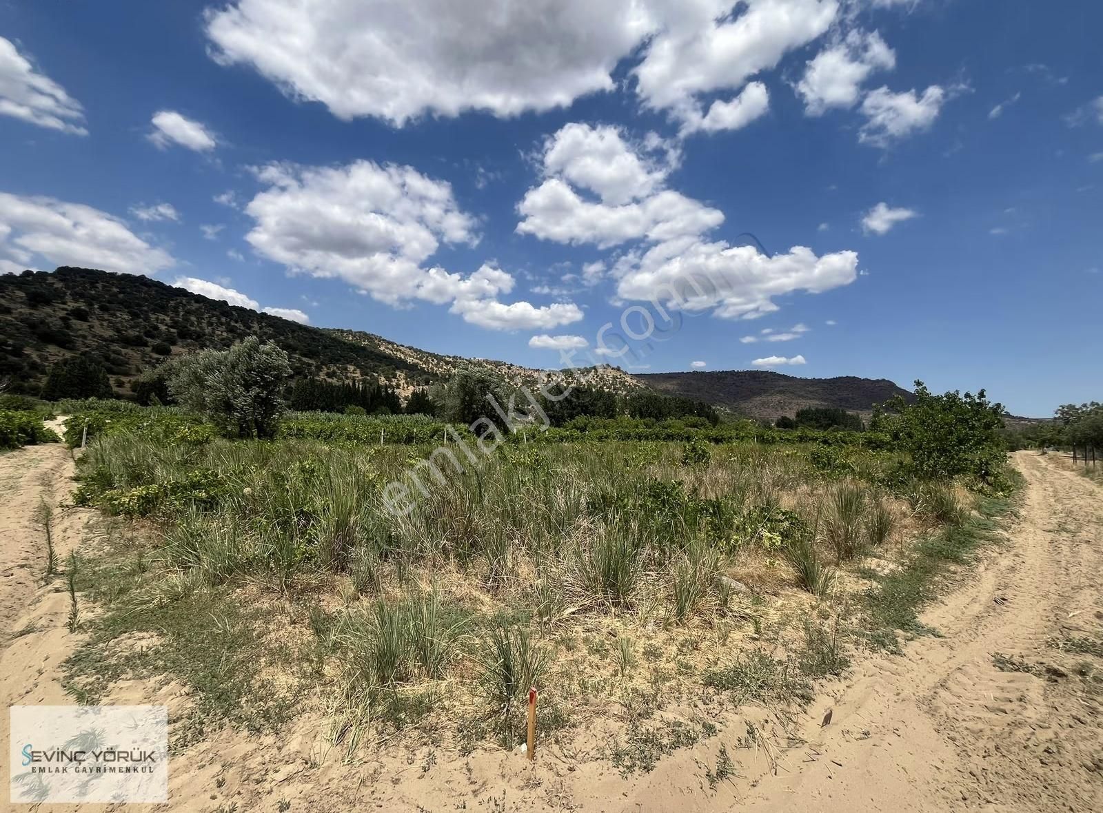 Menemen Bağcılar'da Manisa Asfaltına 100 Metre Uzaklıkta Tarla - Görsel 5