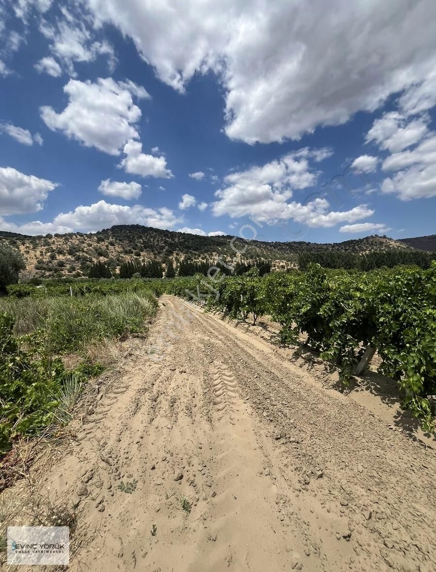 Menemen Bağcılar'da Manisa Asfaltına 100 Metre Uzaklıkta Tarla - Görsel 16