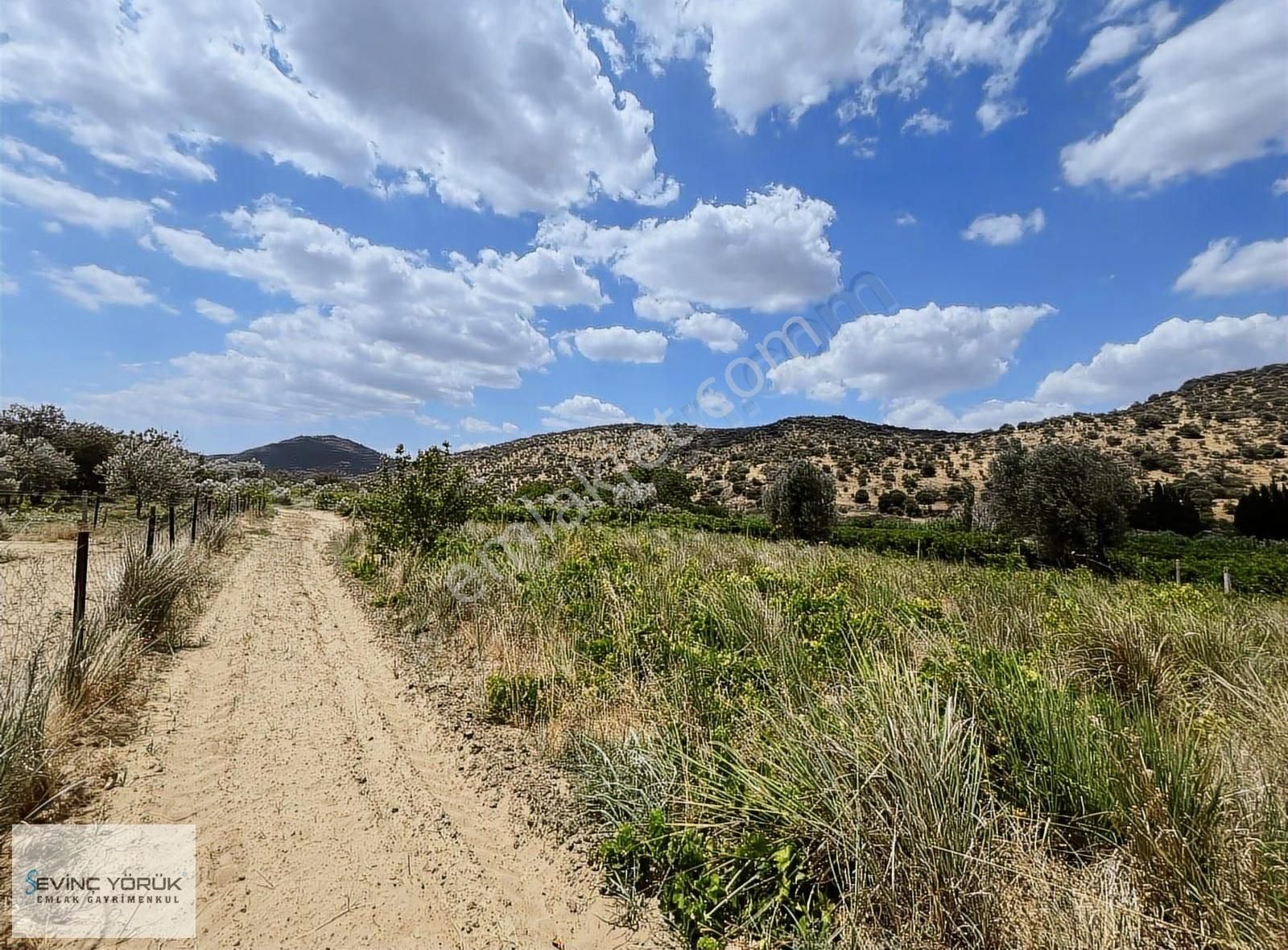 Menemen Bağcılar'da Manisa Asfaltına 100 Metre Uzaklıkta Tarla - Görsel 15