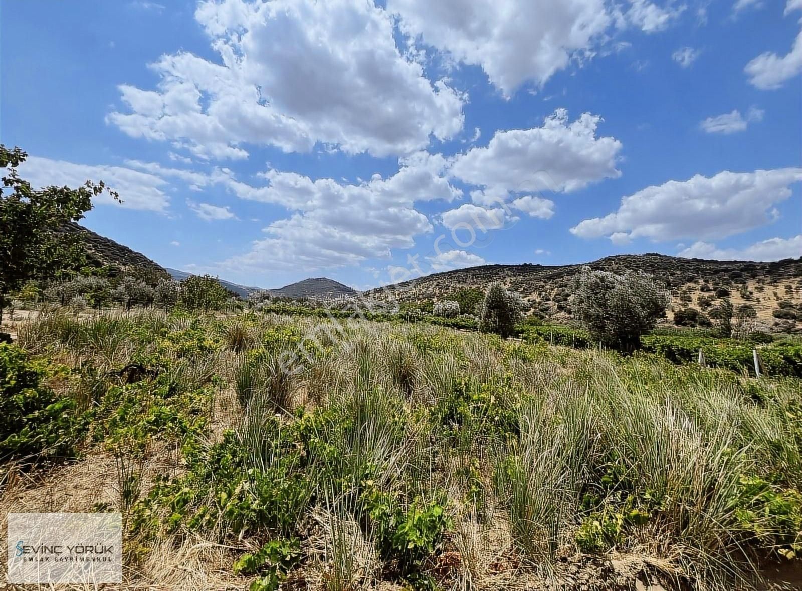 Menemen Bağcılar'da Manisa Asfaltına 100 Metre Uzaklıkta Tarla - Görsel 23