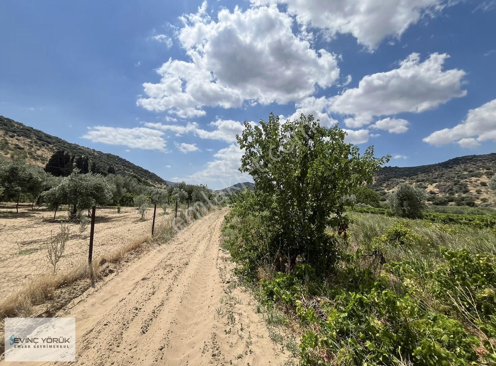 Menemen Bağcılar'da Manisa Asfaltına 100 Metre Uzaklıkta Tarla - Görsel 19