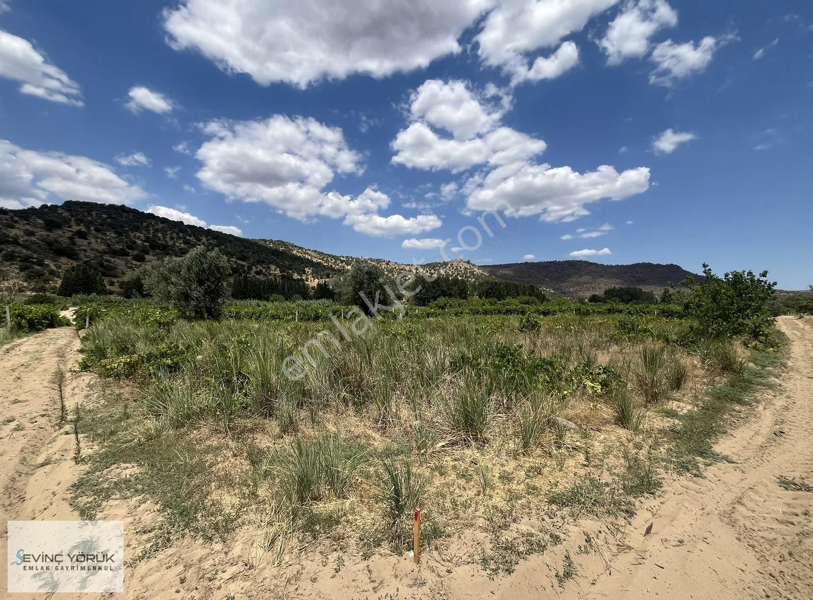 Menemen Bağcılar'da Manisa Asfaltına 100 Metre Uzaklıkta Tarla - Görsel 18