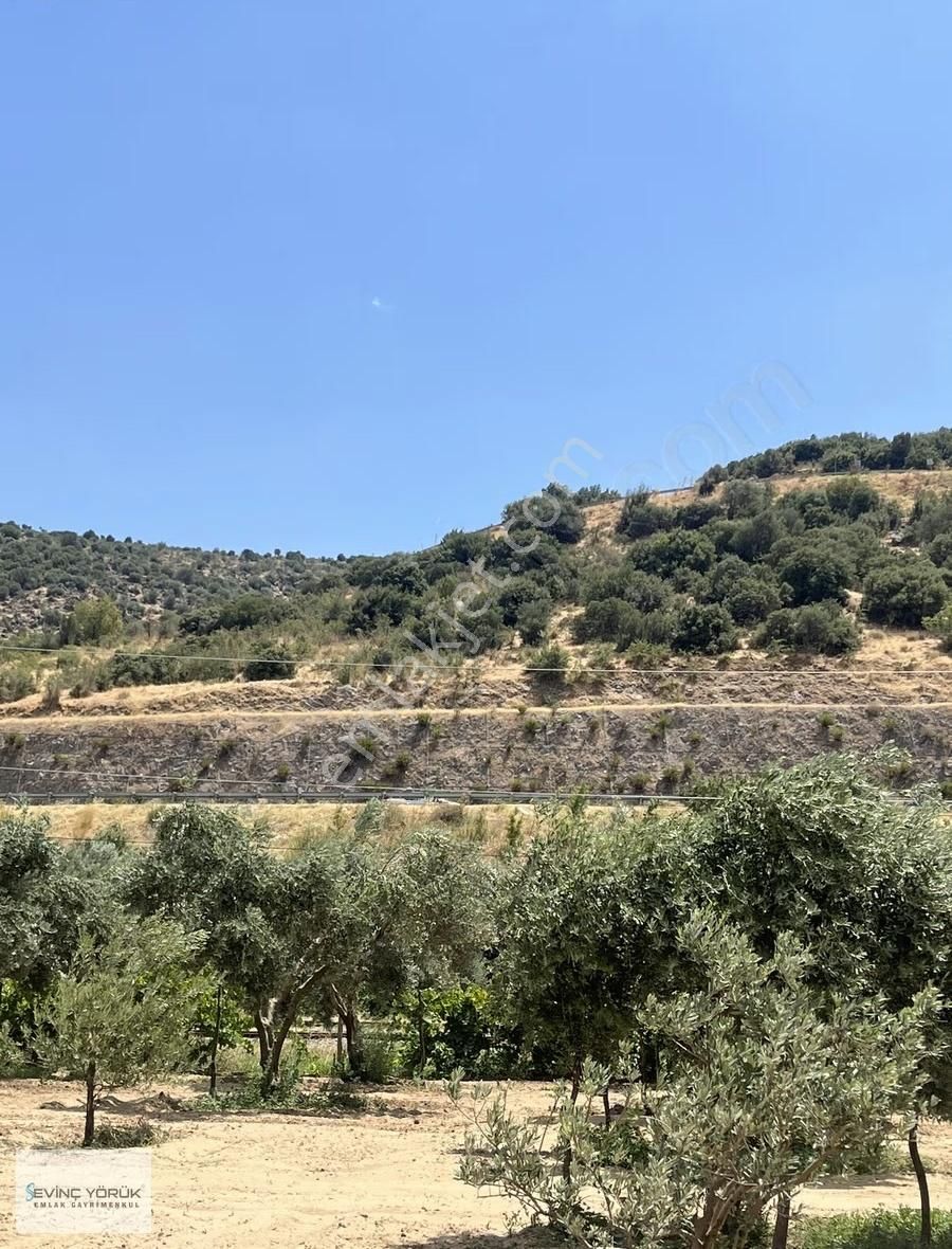 Menemen Bağcılar'da Manisa Asfaltına 100 Metre Uzaklıkta Tarla - Görsel 4