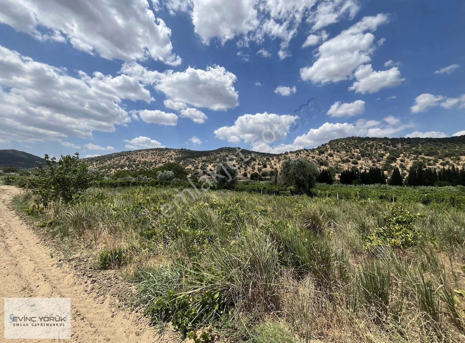 Menemen Bağcılar'da Manisa Asfaltına 100 Metre Uzaklıkta Tarla - Görsel 14