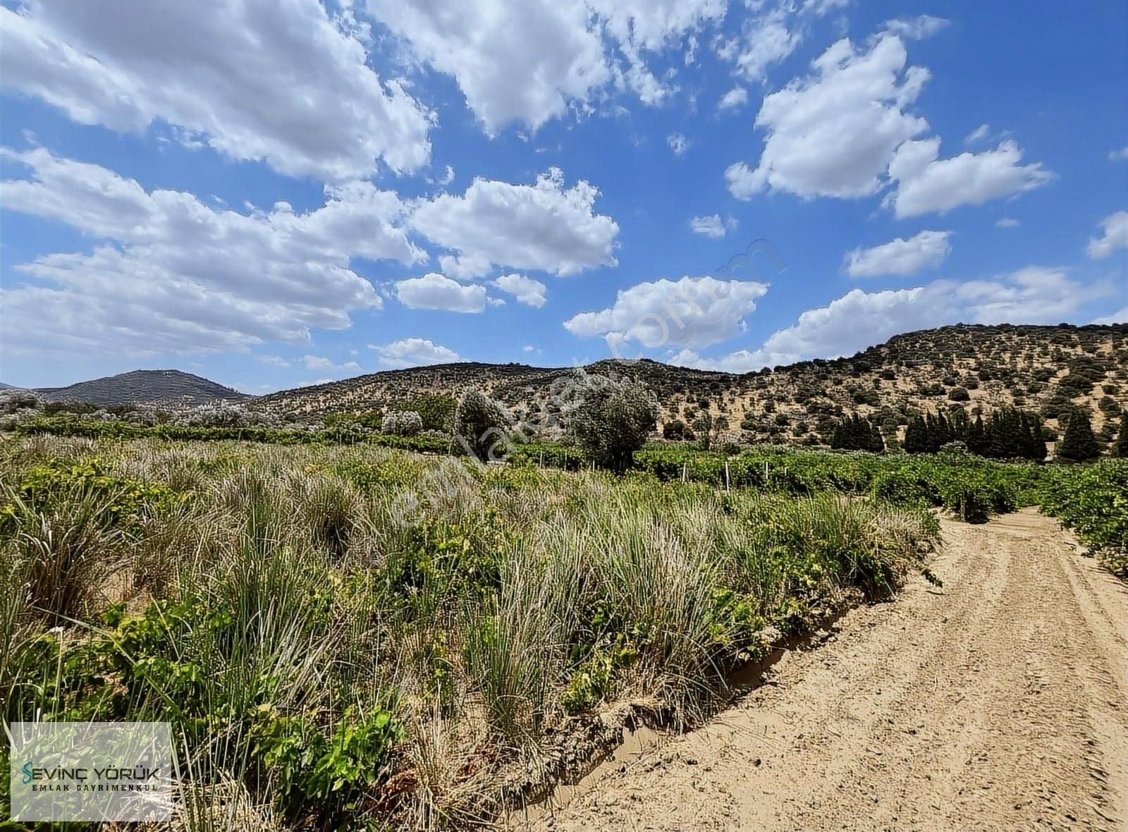 Menemen Bağcılar'da Manisa Asfaltına 100 Metre Uzaklıkta Tarla - Görsel 21